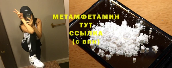 дмт Ельня