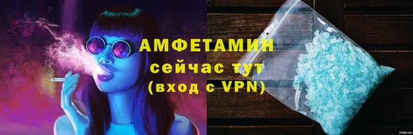 дмт Ельня
