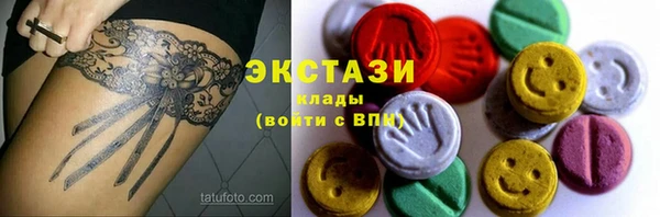 дмт Ельня