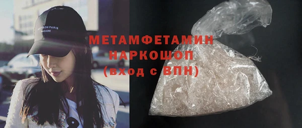 дмт Ельня