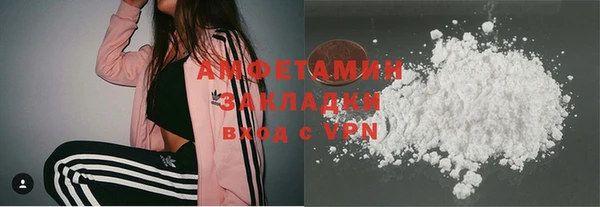 дмт Ельня