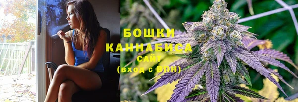 дмт Ельня