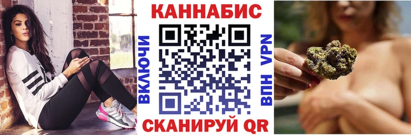 Бошки Шишки семена  Салаир 